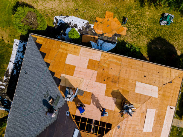 Best Roof Waterproofing Services  in Tice, FL