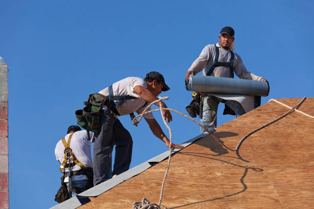 Best Best Roofing Contractors  in Tice, FL